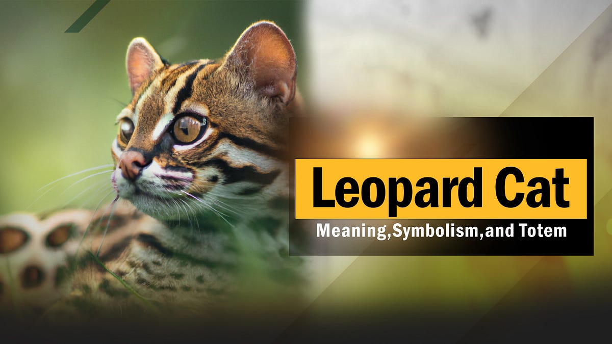 Leopard Cat Spiritual Meaning, Symbolism, and Totem puppyplaying Medium