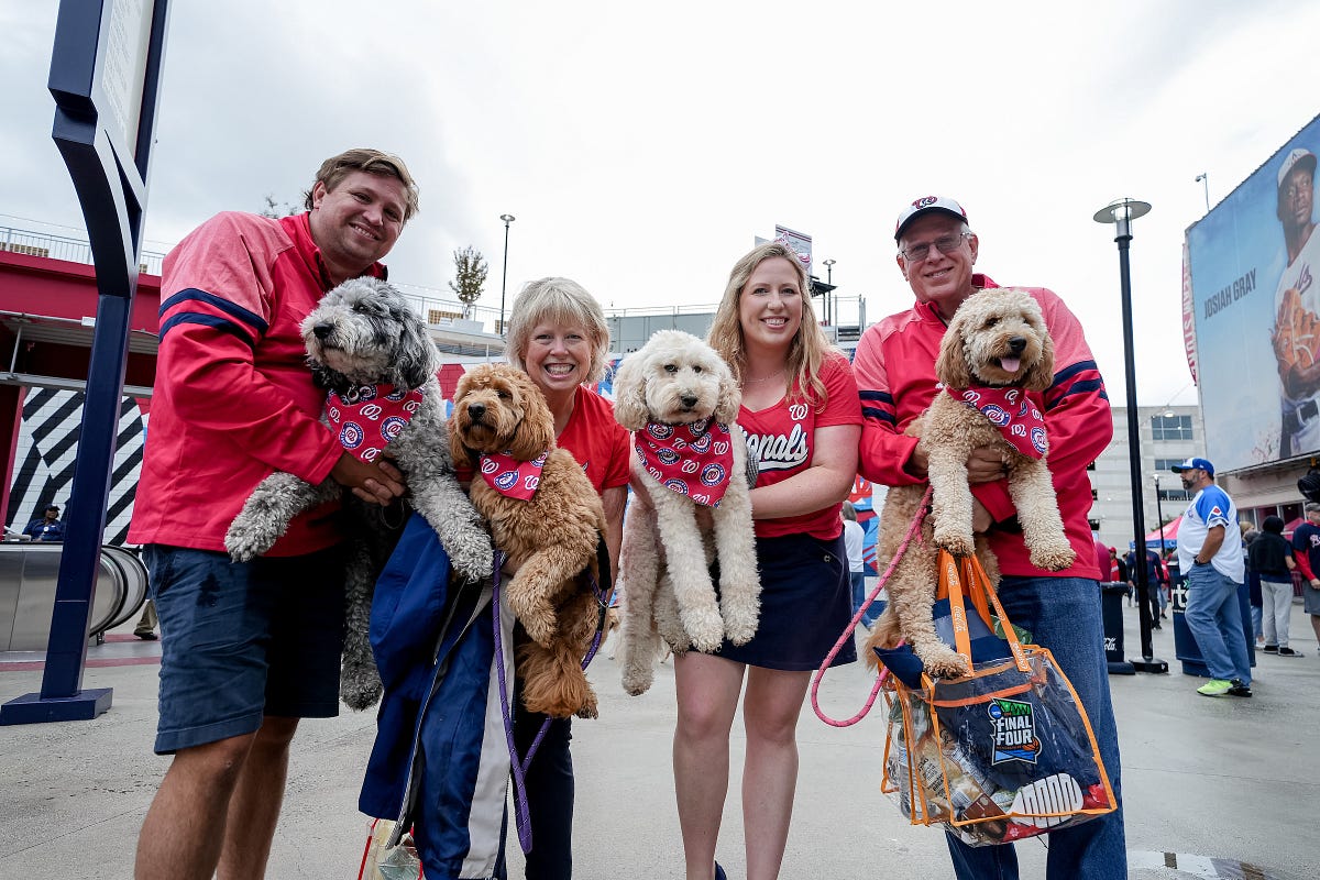 Washington Nationals Announce Special Ticket Events for 2024 Season