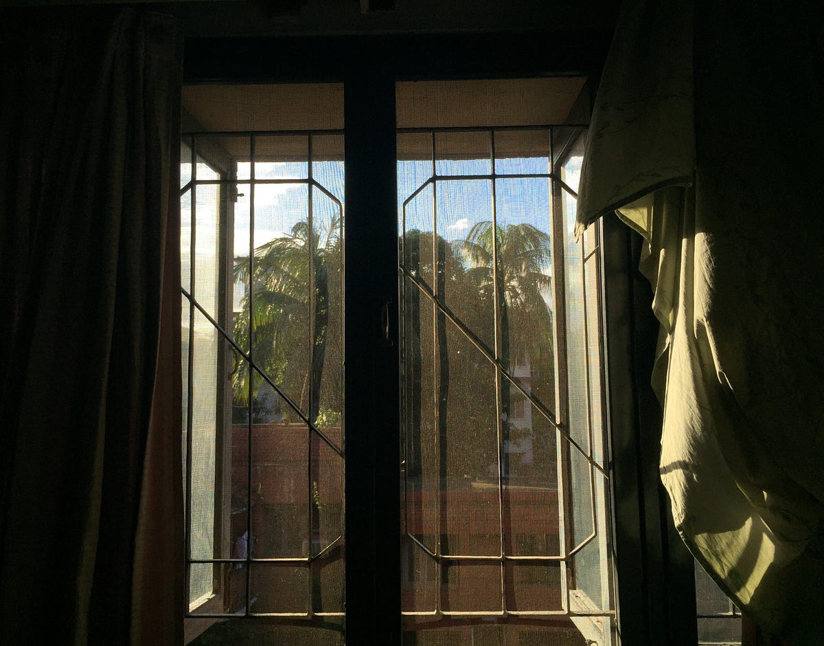 Why grey windows?. I’ve spent an incredible amount of time… | by ধূসর ...