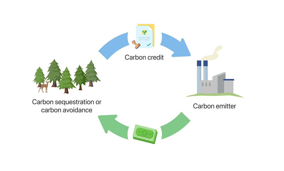 What are carbon credits offsets and allowances Medium