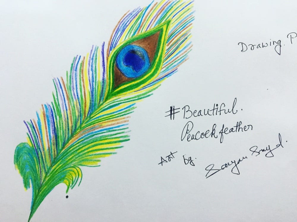 How to draw colourful peacock feather with the help of only color pencils, by sayansanyal