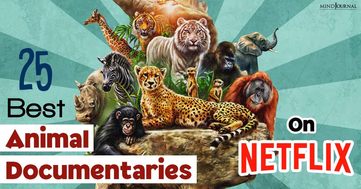 Wildlife Chronicles 25 Best Animal Documentaries On Netflix That You
