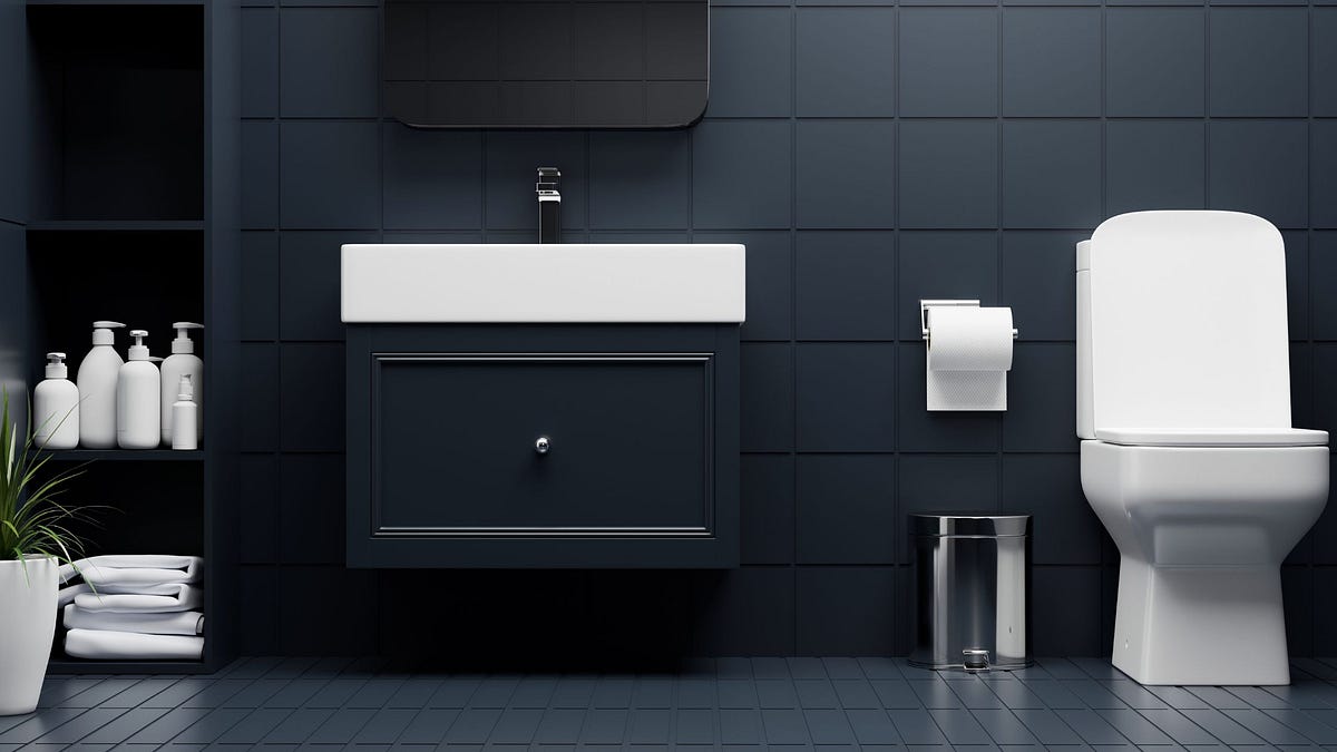 Know How to Choose The Best Sanitary ware For your House Medium