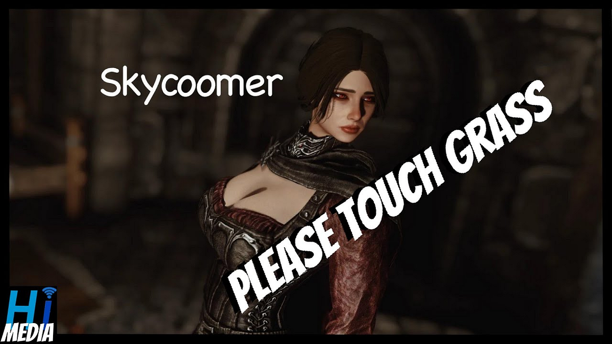 Why Do People Mod P$%n Into Their Games