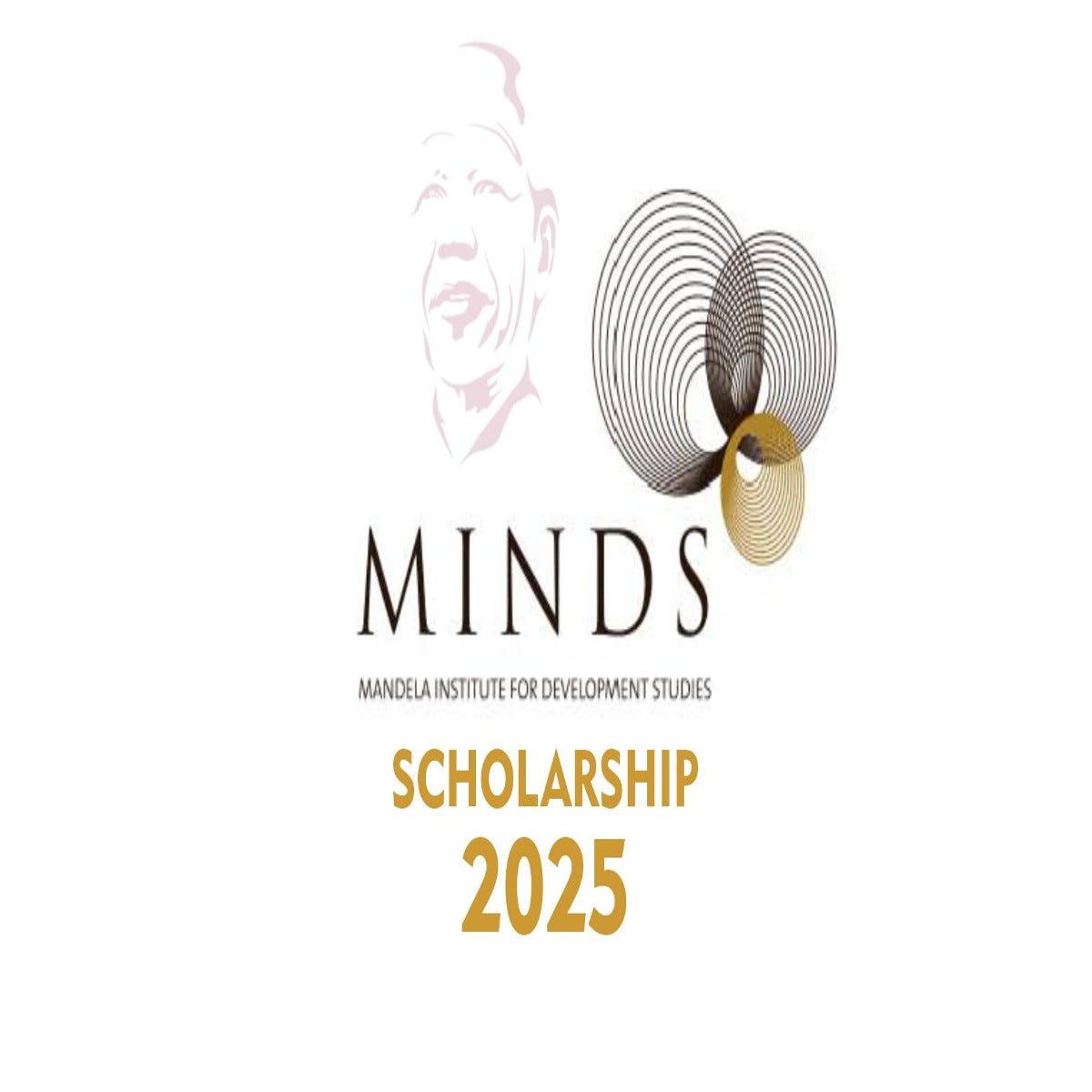 MINDS Scholarship Programme for African 2025 | by Peng Pearl | Sep
