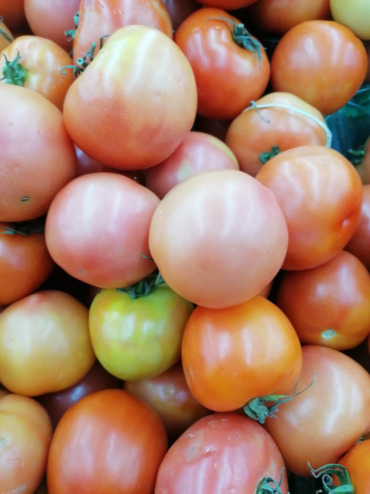 Tomatoes can help with diabetes management. by Natblossoms Nov