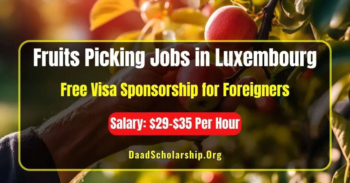 Fruits Picking Jobs in Luxembourg with Visa Sponsorship Salary 2935