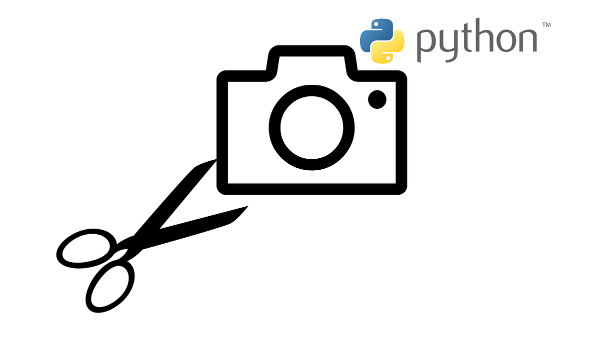 Python automation project: cut background from photo | by Ksawery ...