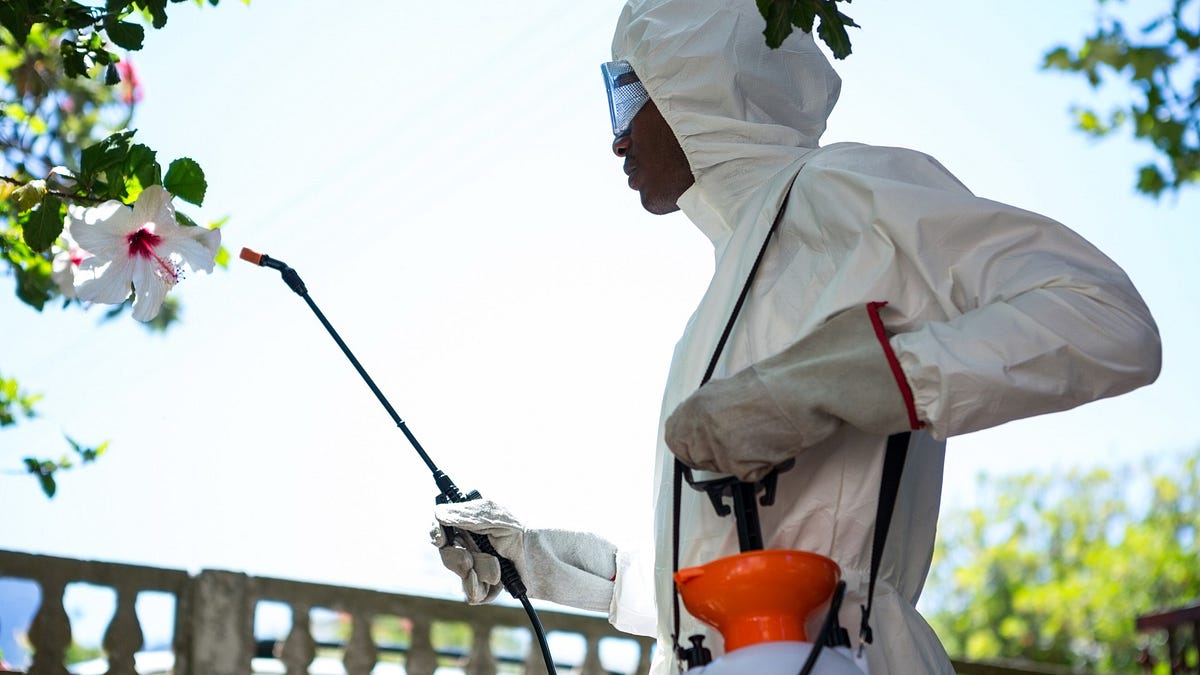 Why Pest Control Sharjah Services are Important for Educational