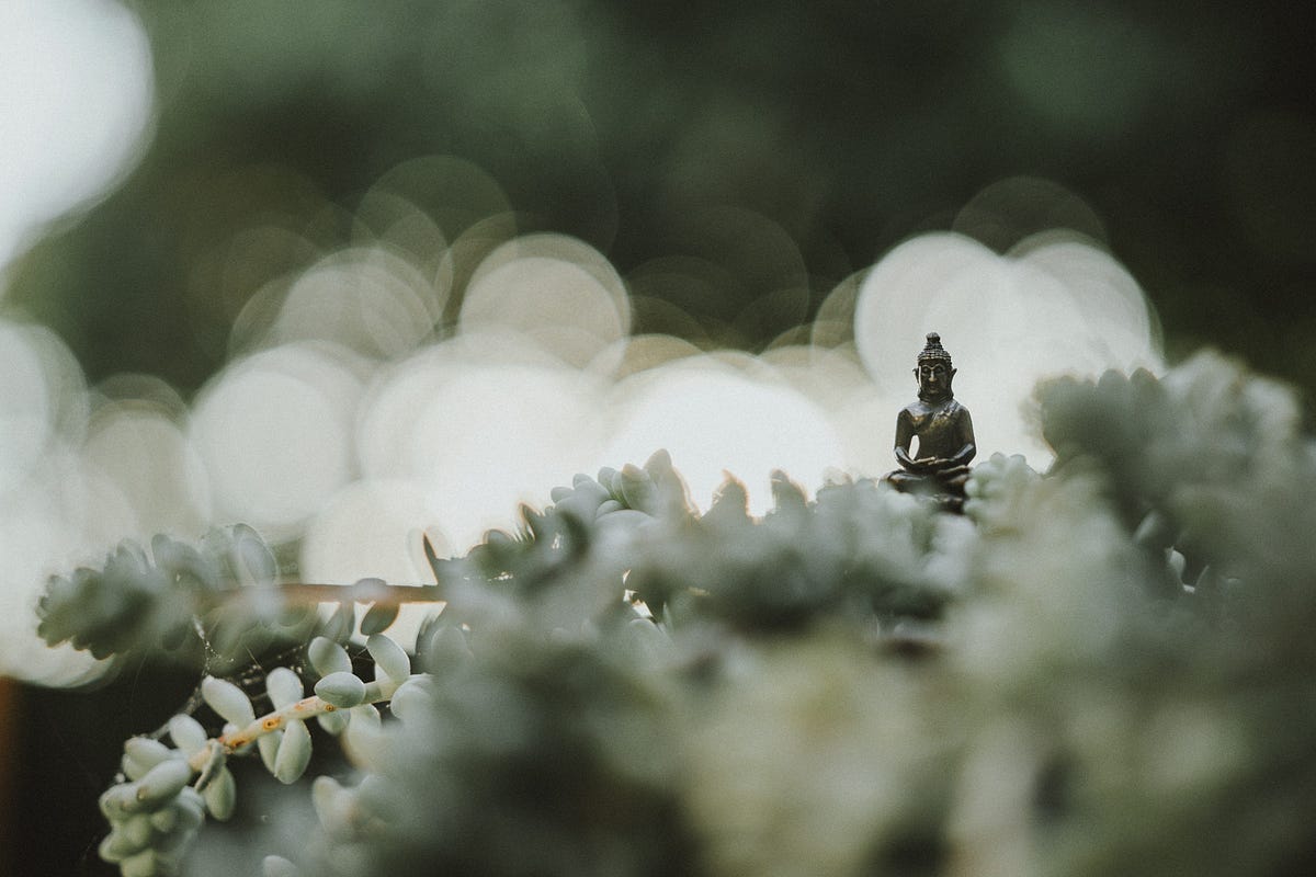 What does being in the zen state mean? by Zen House Medium