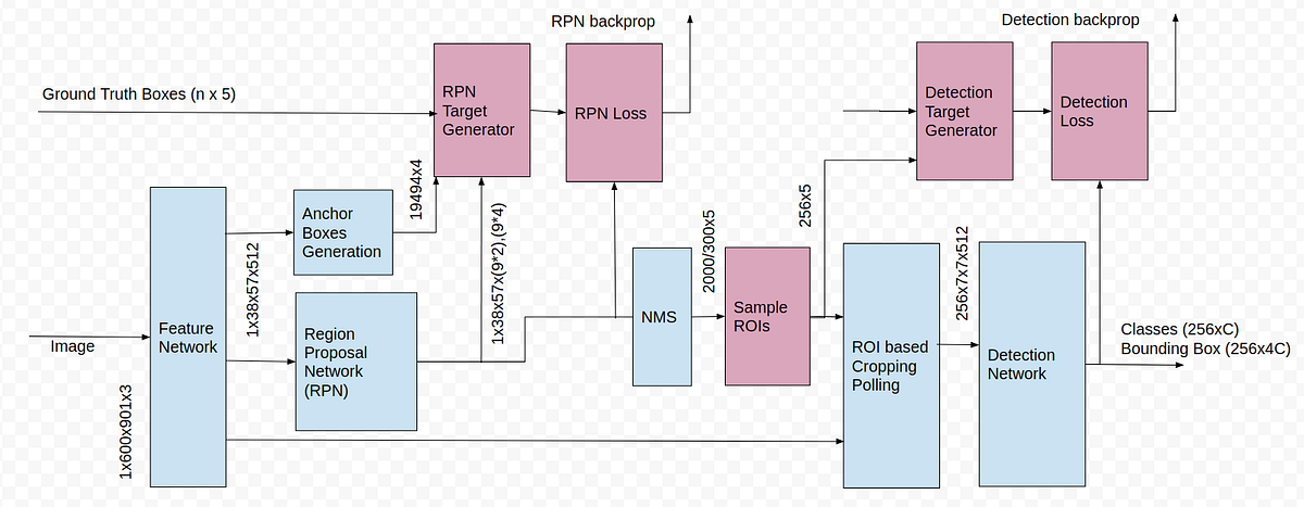 Faster RCNNs Explained. Faster R-CNN (Region Convolutional… | by ...