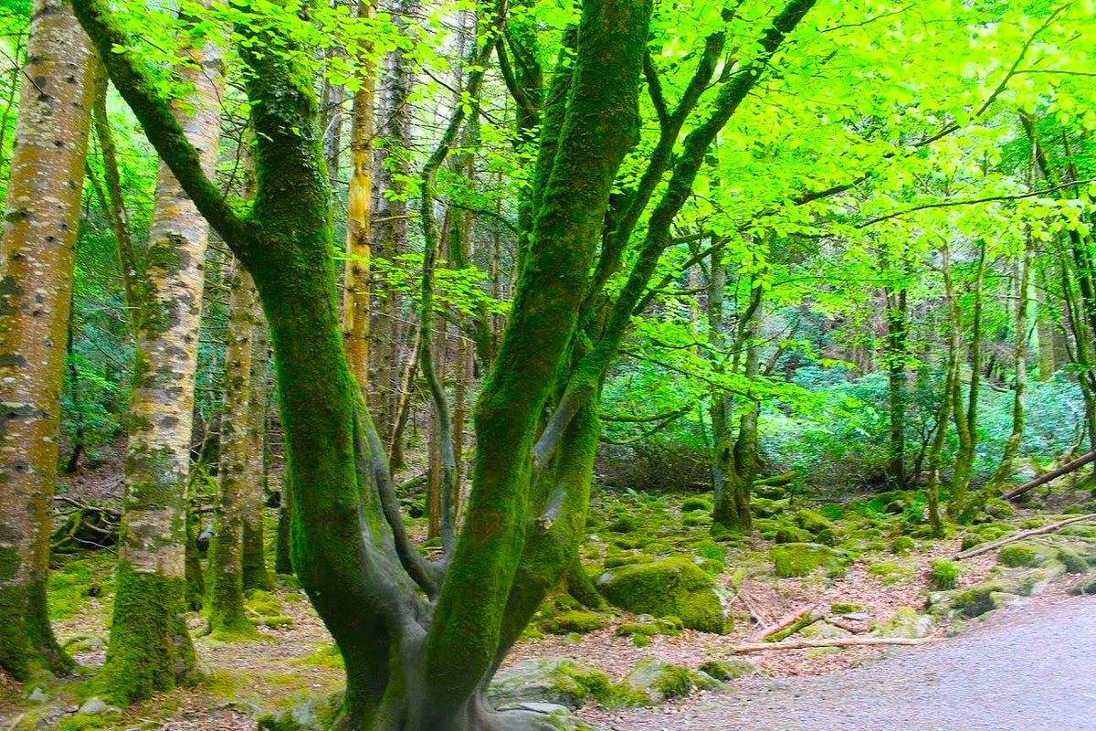 10-reasons-to-visit-ireland-now-if-you-haven-t-been-to-ireland-yet-i
