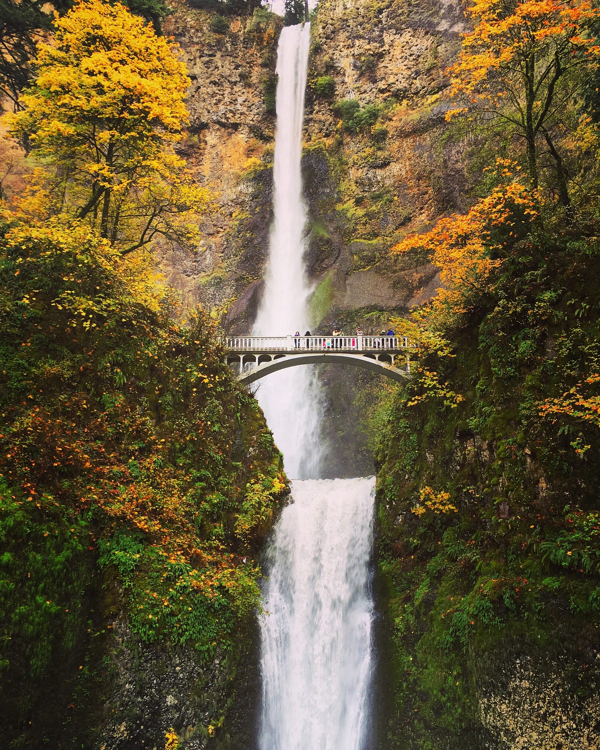 A weekend getaway to Portland. I live in San Jose, California and… | by ...