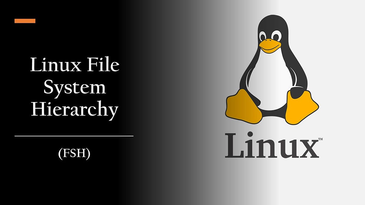 Linux File System Hierarchy (FSH) | Medium