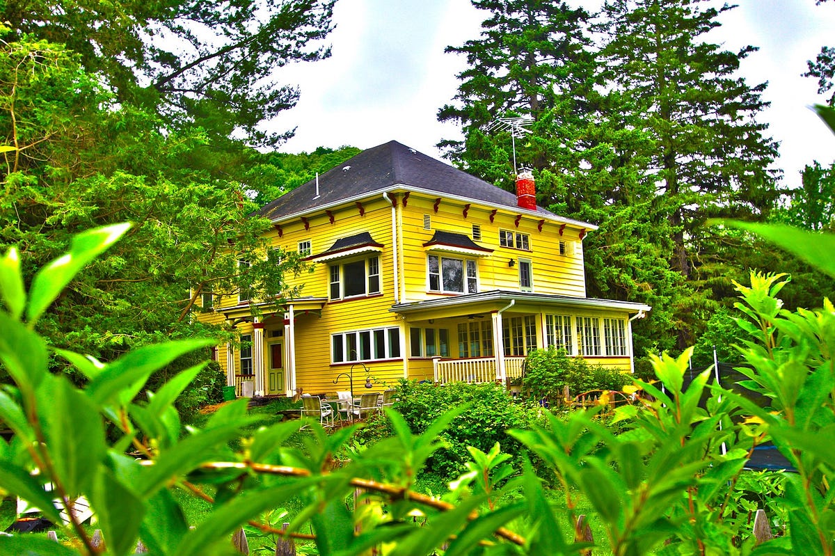 トップス House on the Hill (Yellow Flower) 80 Chapel Hill Yellow Lantana | Order Online | Treeland Nursery