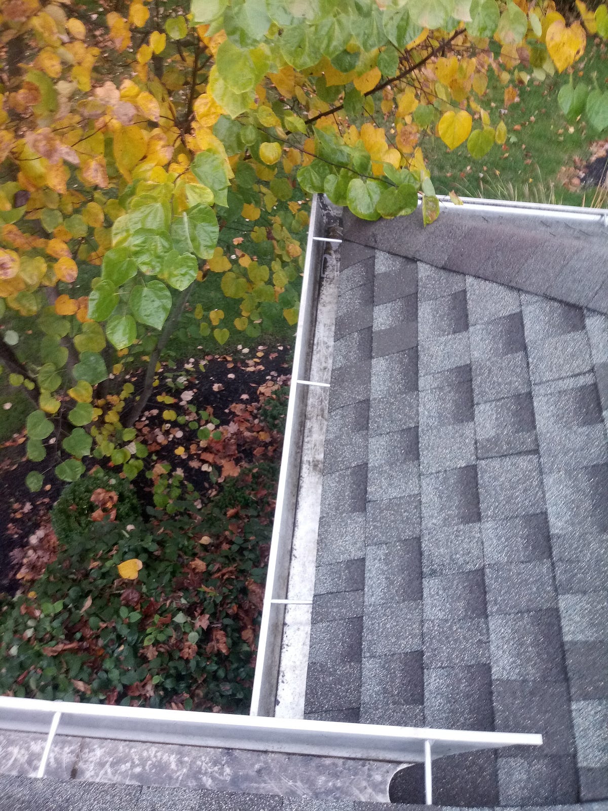 Clean Pro Gutter Cleaning Atlanta — Gutters and Downspouts Atlanta by