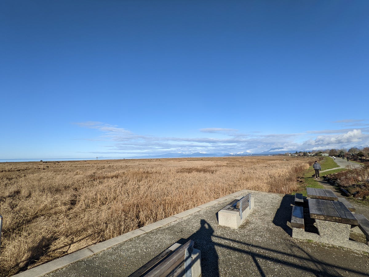 5 Things I Did to Prepare for An Applied Scientist Interview at Amazon