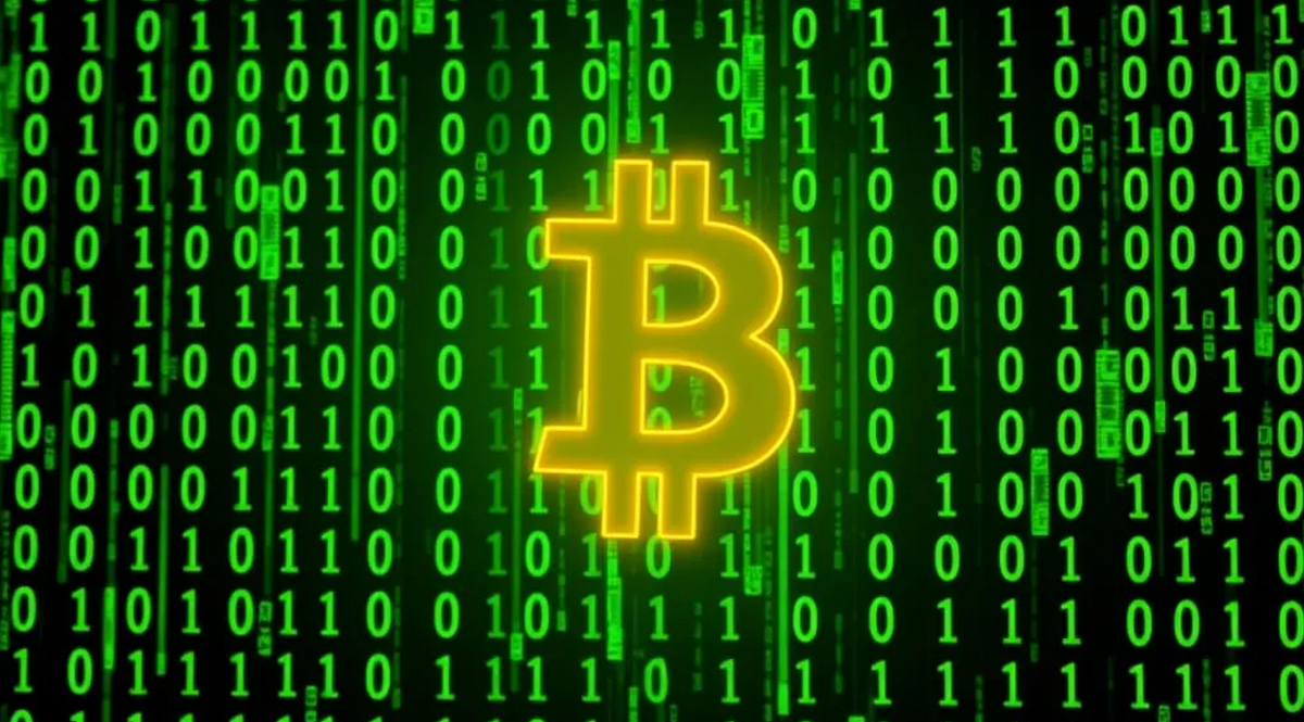 Important Facts To Know About Bitcoin Wallets | by VTECH | The Bitcoinist |  Medium