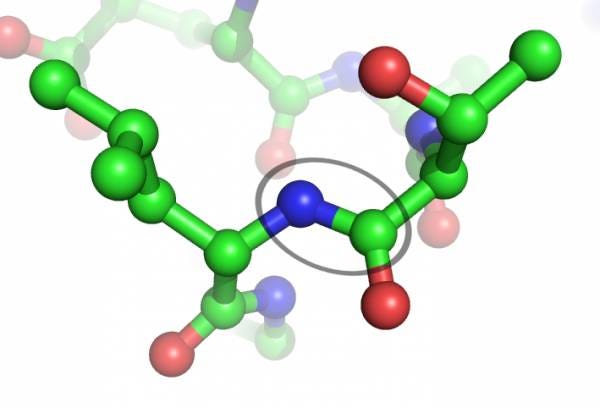 foxo4 dri wiki Using FOXO4-DRI to eradicate senescent cells | by Nina Khera