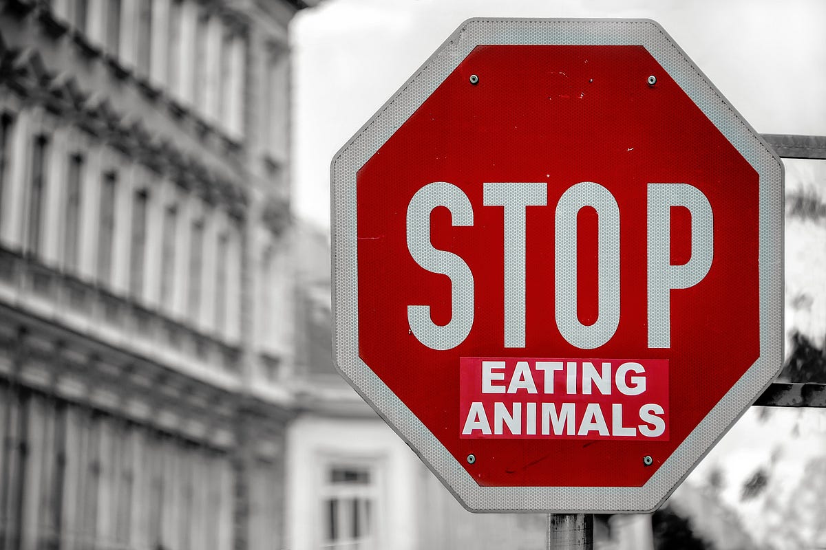 should-you-stop-eating-meat-to-save-the-planet-by-dr-munr-kazmir