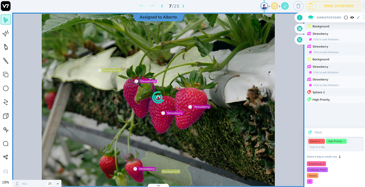 What is Data Labeling and How to Do It Efficiently [Tutorial] | Medium ...