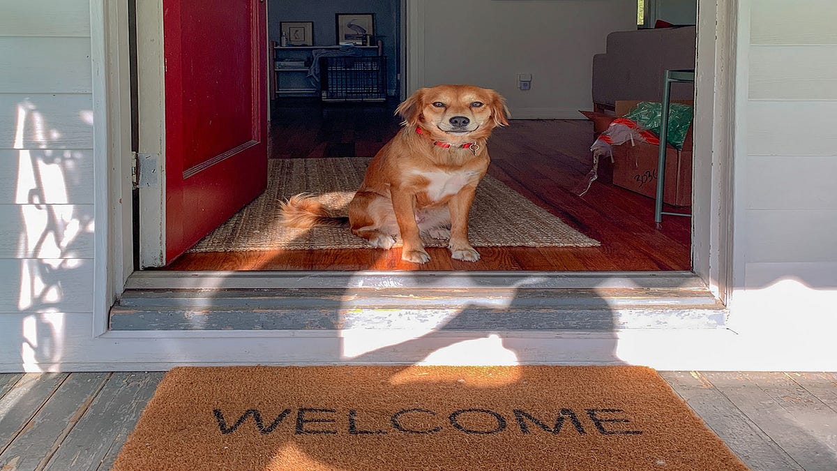 How to Stop Your Dog Barking Every Time the Doorbell Rings by Make
