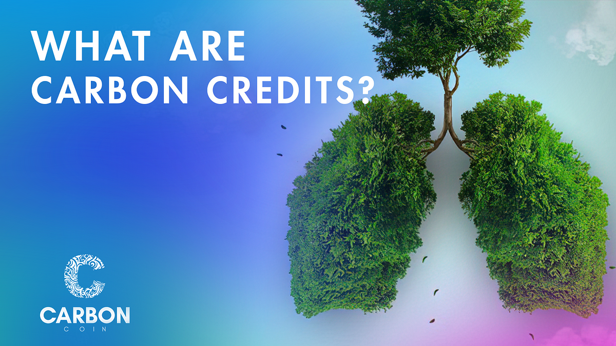 What are Carbon Credits?. Our project is working on reducing… | by ...