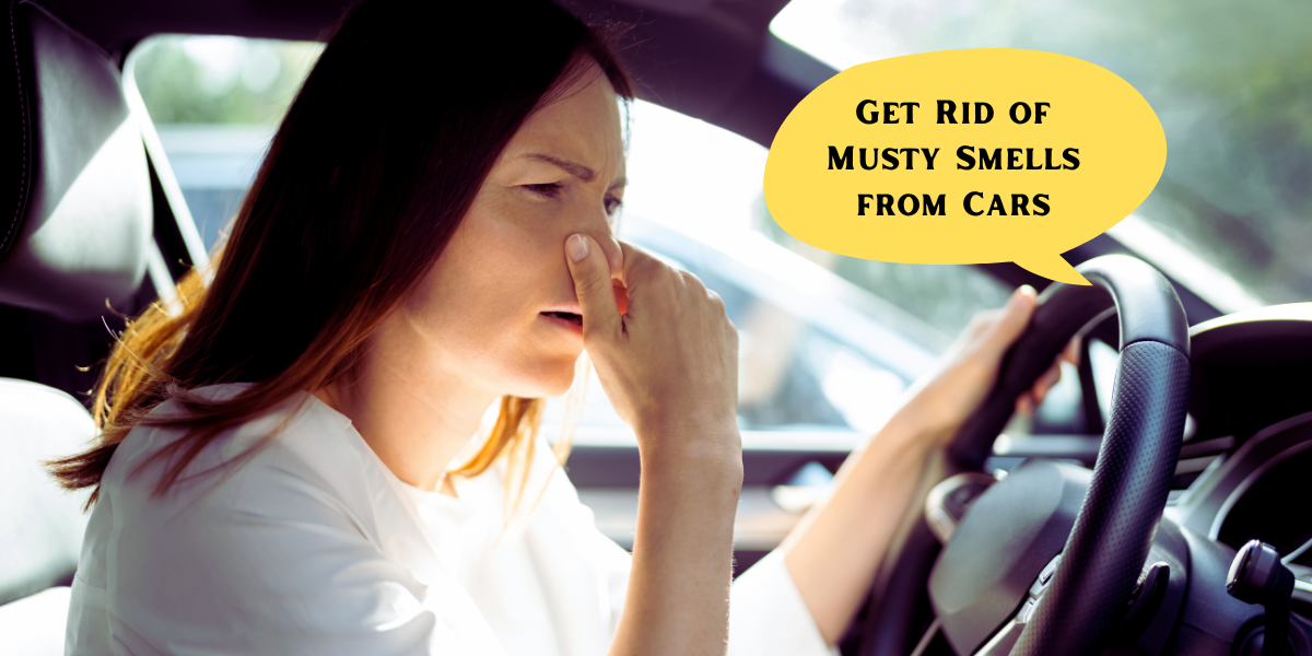 How to Eliminate Musty Smells From Your Vehicle The Detailing Gang