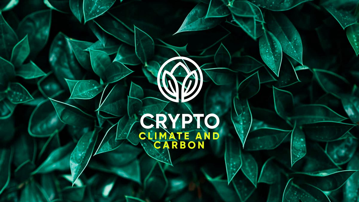 The Contentious Debate Around Additionality in Carbon Offsetting Explained  | by Matthew Carpenter-Arevalo | Crypto, Climate and Carbon | Medium