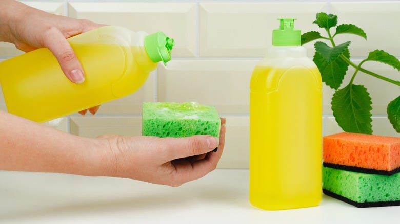Disrupting the Norm: How Innovations in the Dishwashing Detergent Market  are Revolutionizing Kitchen Cleanliness | by Banashree Dasgupta | Medium