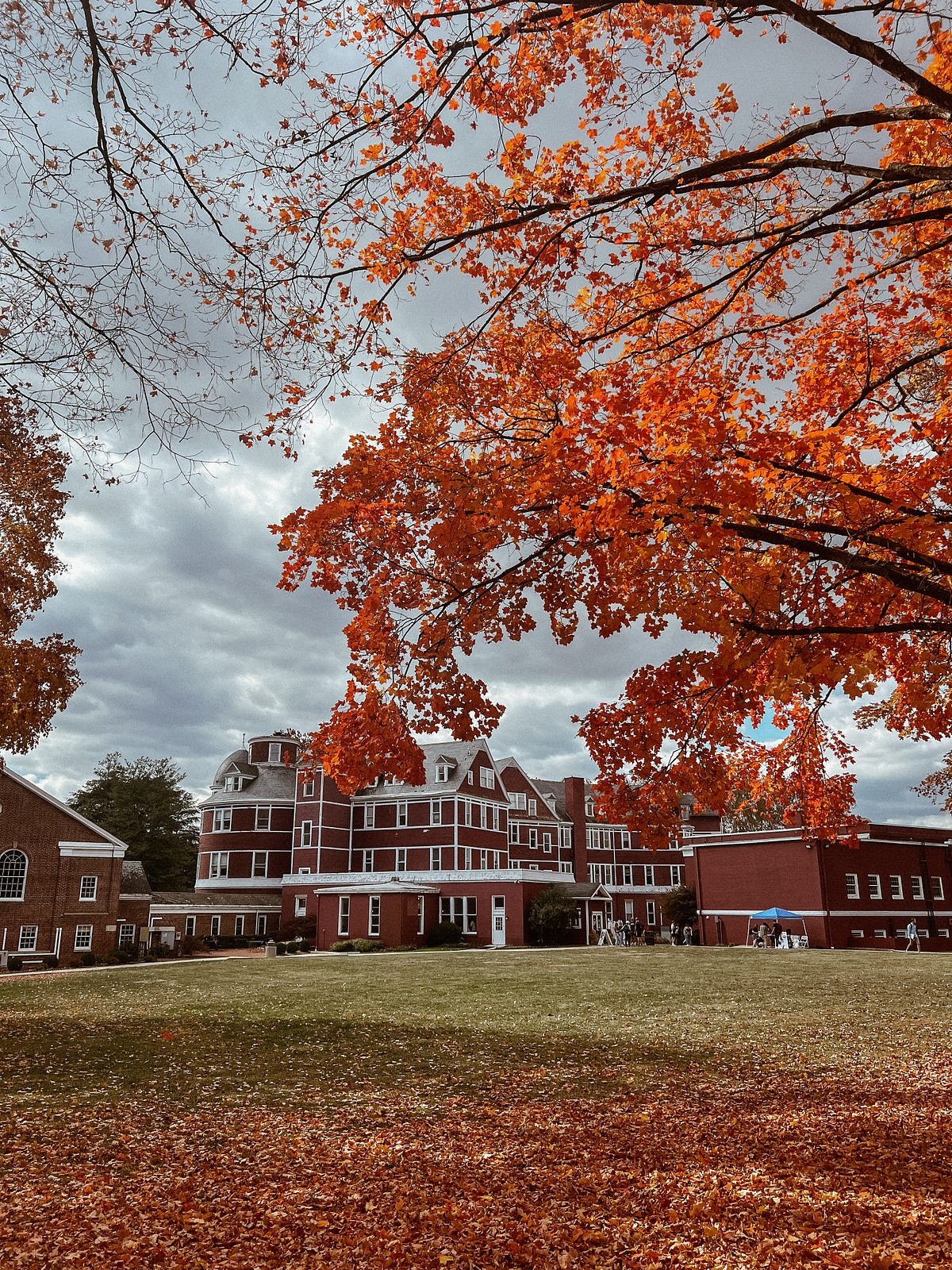 Shocking Truth About Strayer University'S Semester Schedule - lnwt1zk