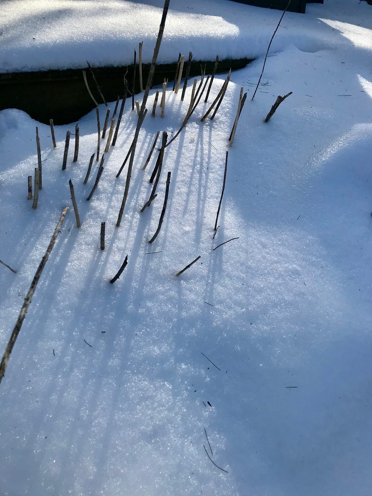 A Little Snow Really Brightens Things Up | by William J Spirdione | The ...