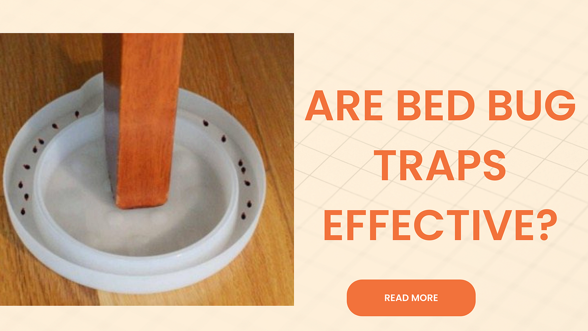 Are Bed Bug Traps Effective in Eliminating Bedbugs? by Bedbugstoreusa