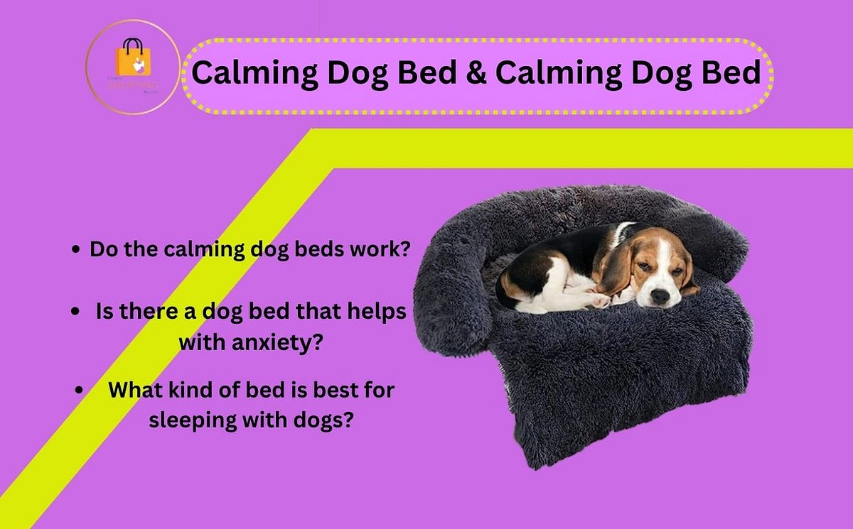Calming Dog Bed 10 Powerful Ways to Soothe Your Anxious Pup
