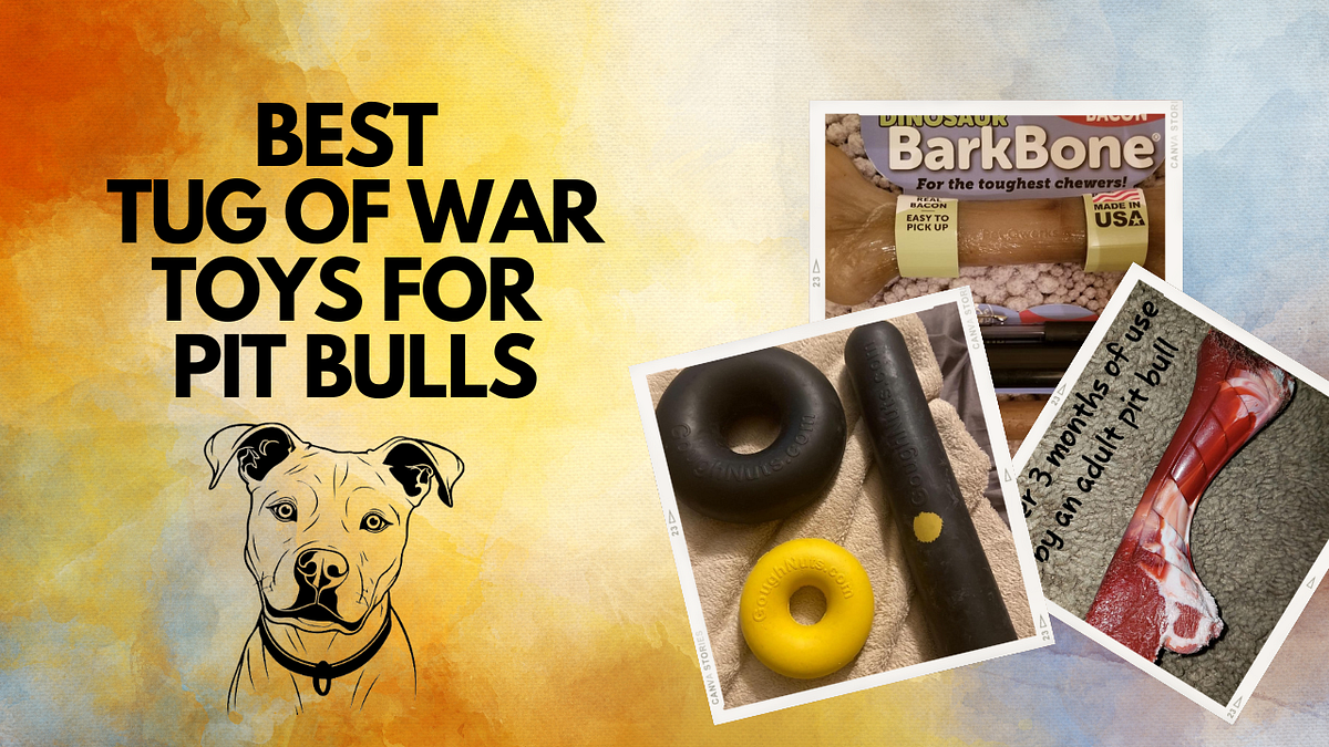 Best Tug of War Toys for Pit Bulls Pros, Cons, How To, FAQs & More