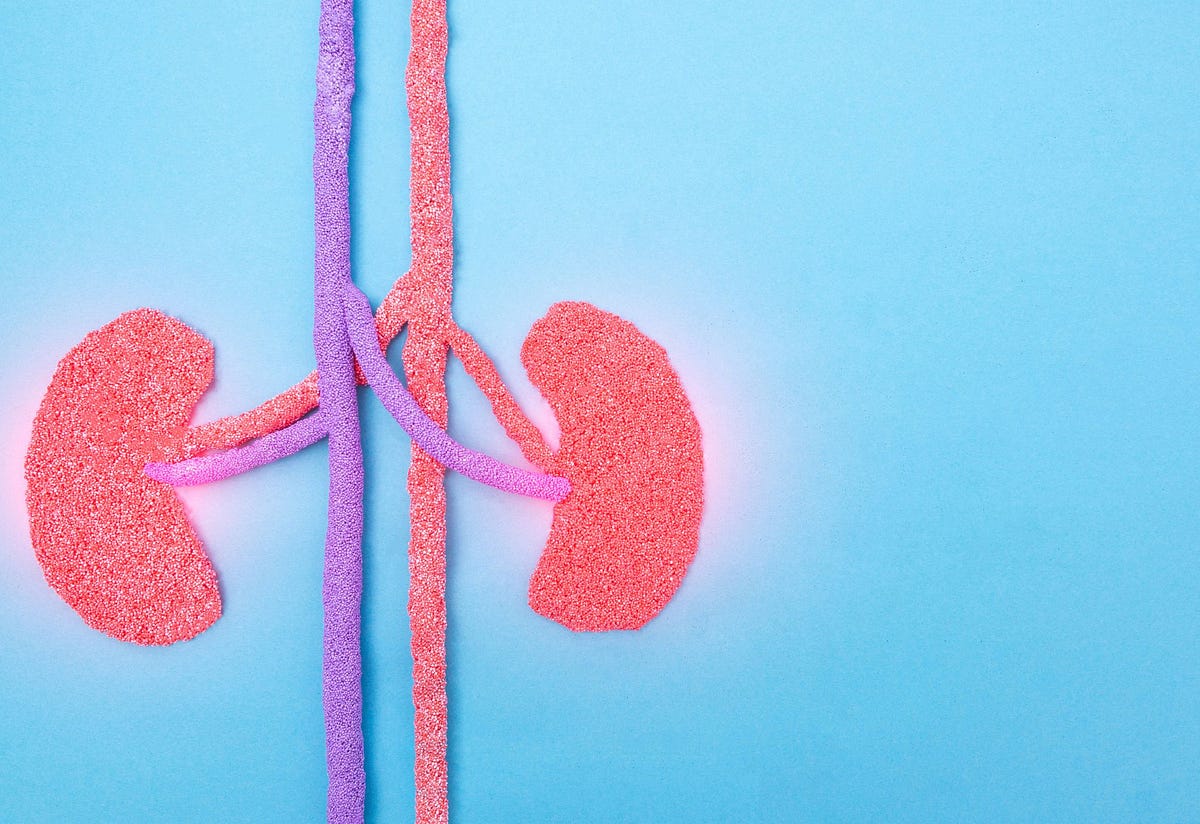 Nutcracker Syndrome A Silent but Serious Health Condition by Jessi