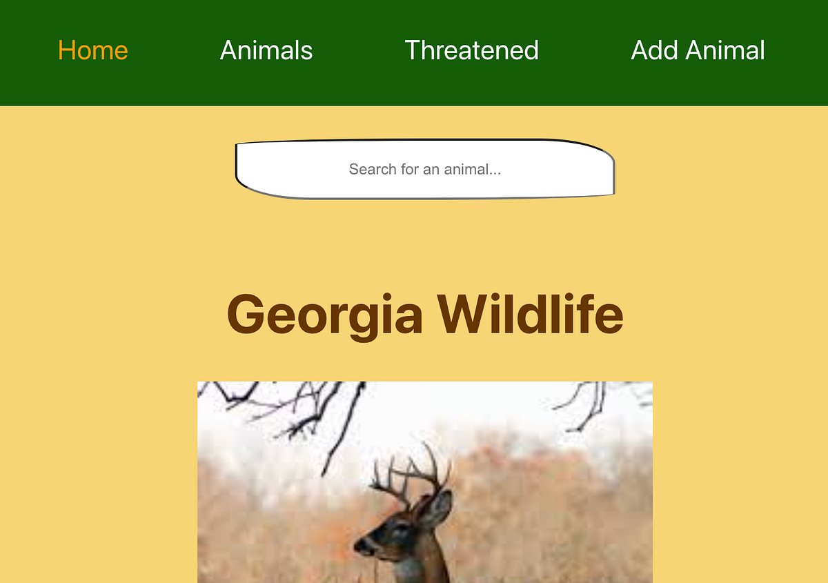 Conditional Rendering of React Search Bar Using Clientside Routes by Will Chesson Medium