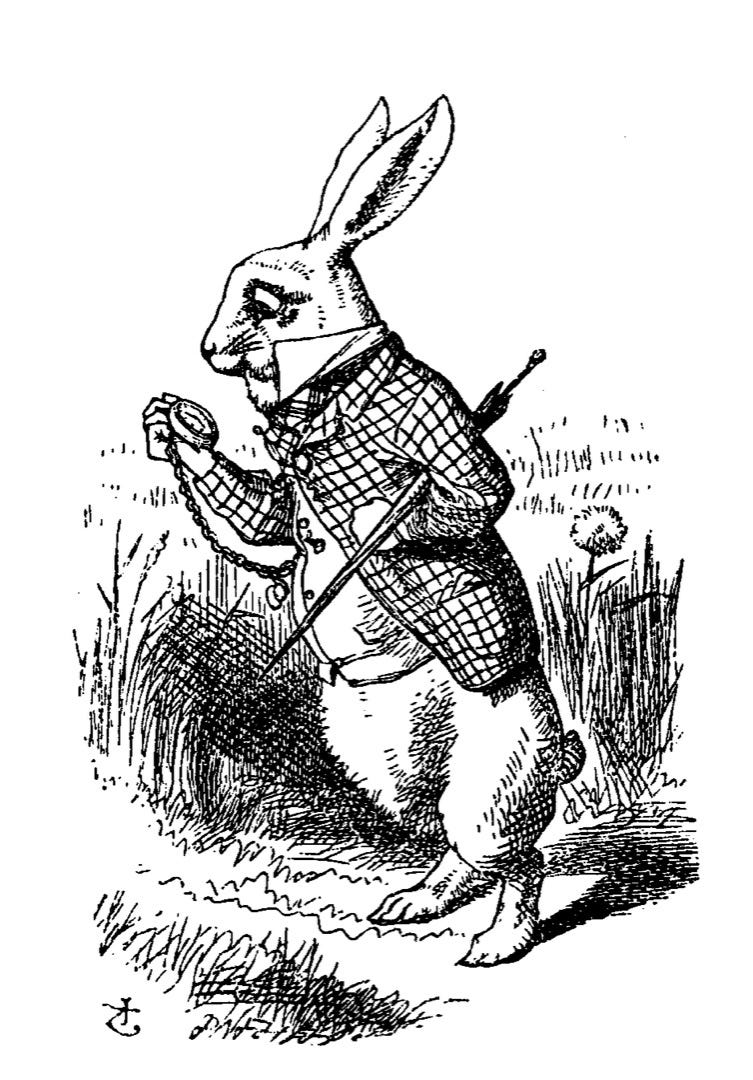 JavaScript: Chasing the Elusive White Rabbit | by Brian Greig ...