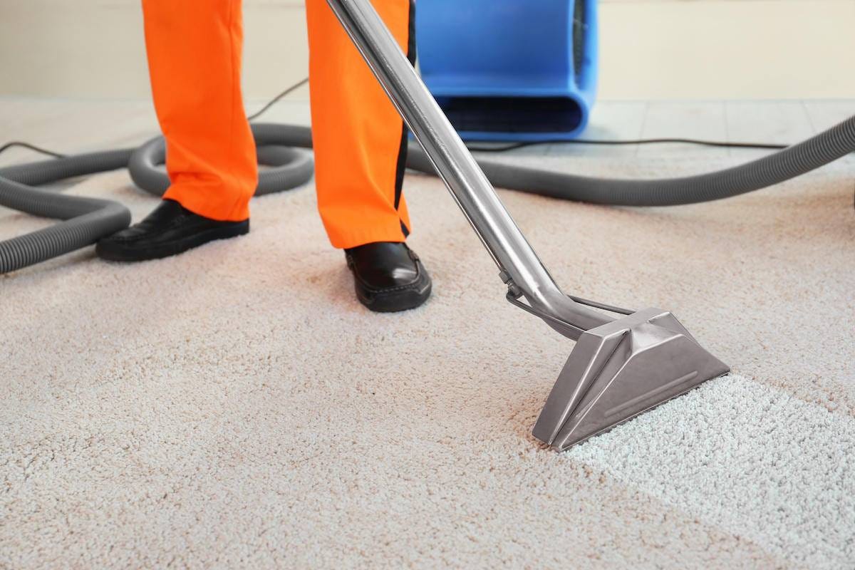 The Ultimate Guide to USA Carpet Cleaning: Tips, Techniques, and Best  Practices | by USA Cleaning | Medium