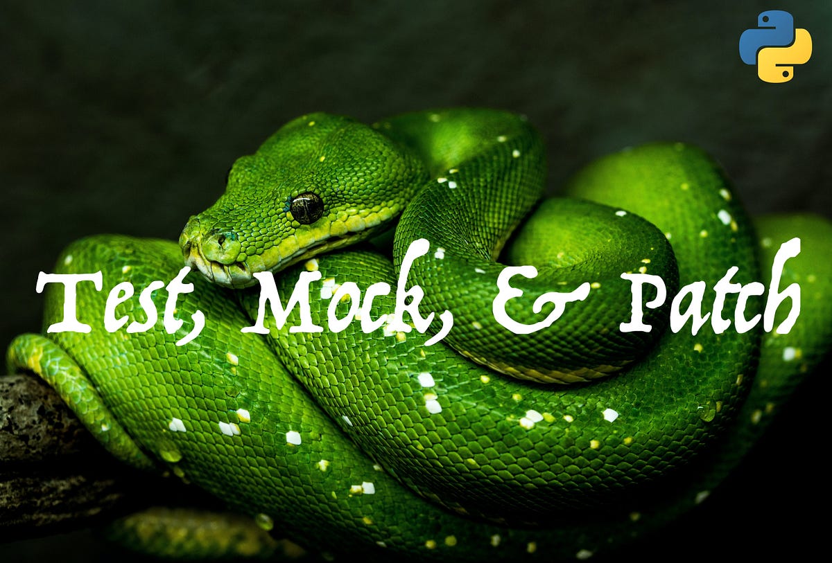 Right Way to Test, Mock, and Patch in Python | by Munish Goyal | Geek ...