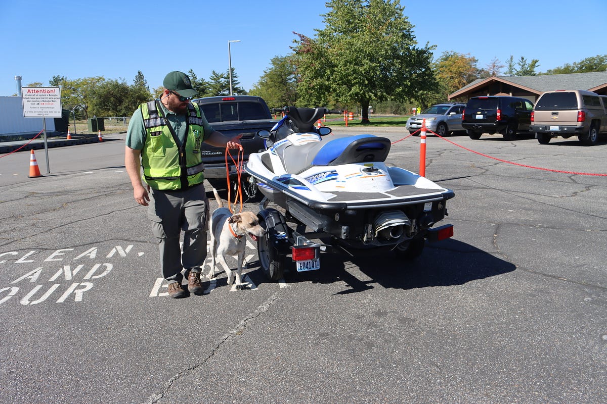 Invasive quagga mussels detected in Idaho; monitoring and prevention