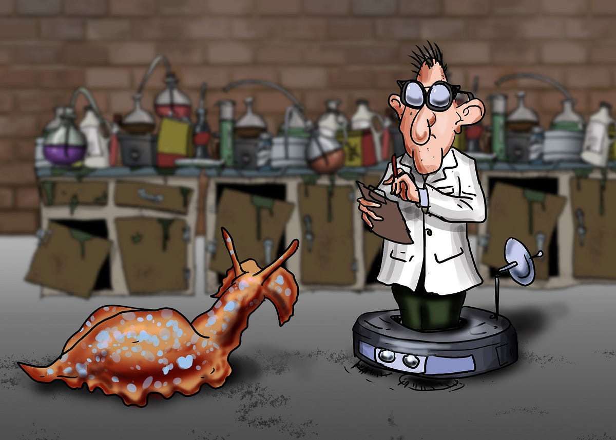 The Roomba Theory: We Are All Glorified Robot Vacuum Cleaners | by ...