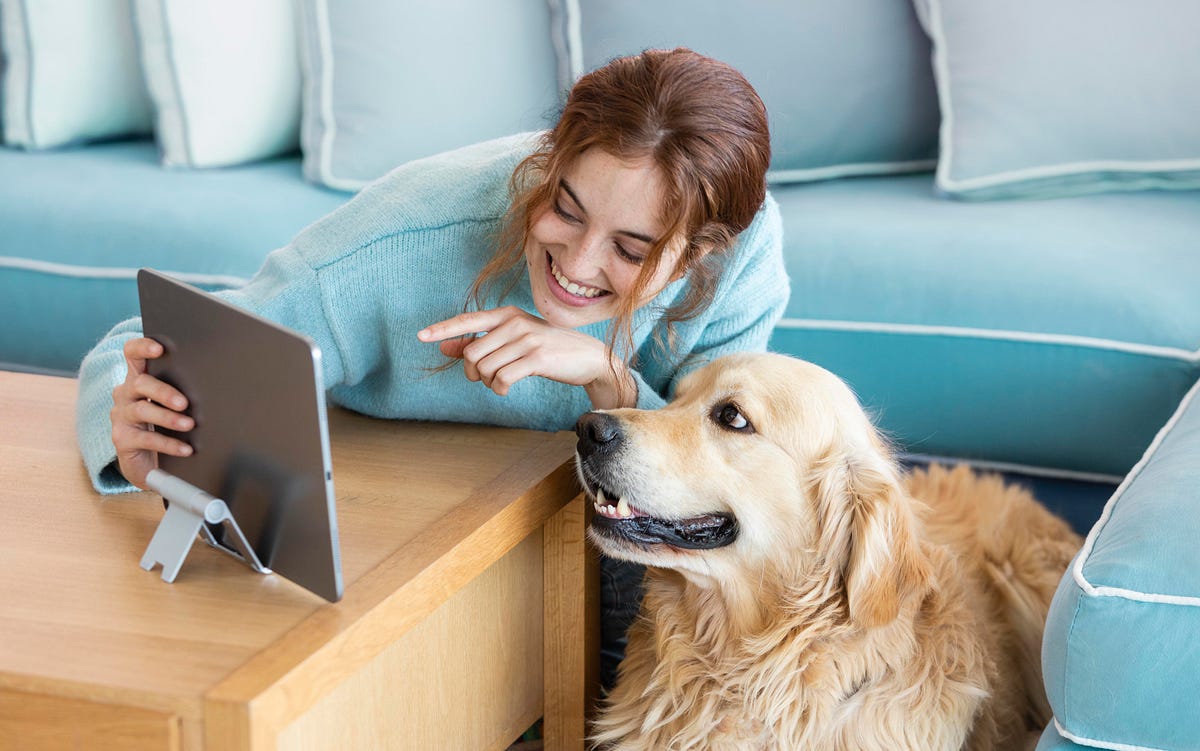 Disclosing the 5 Shocking Truths Concerning Craigslist Pets Story of
