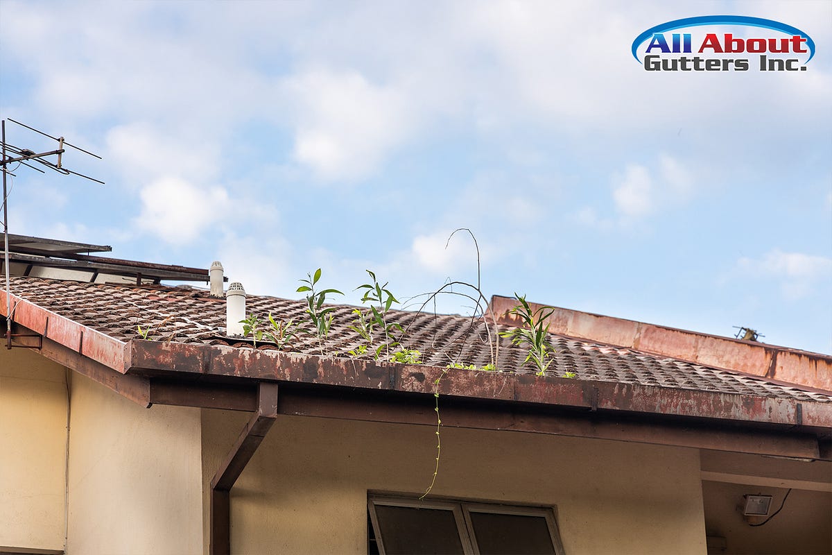 What Happens When Your Home Does Not Have Gutters Or Downspouts? by