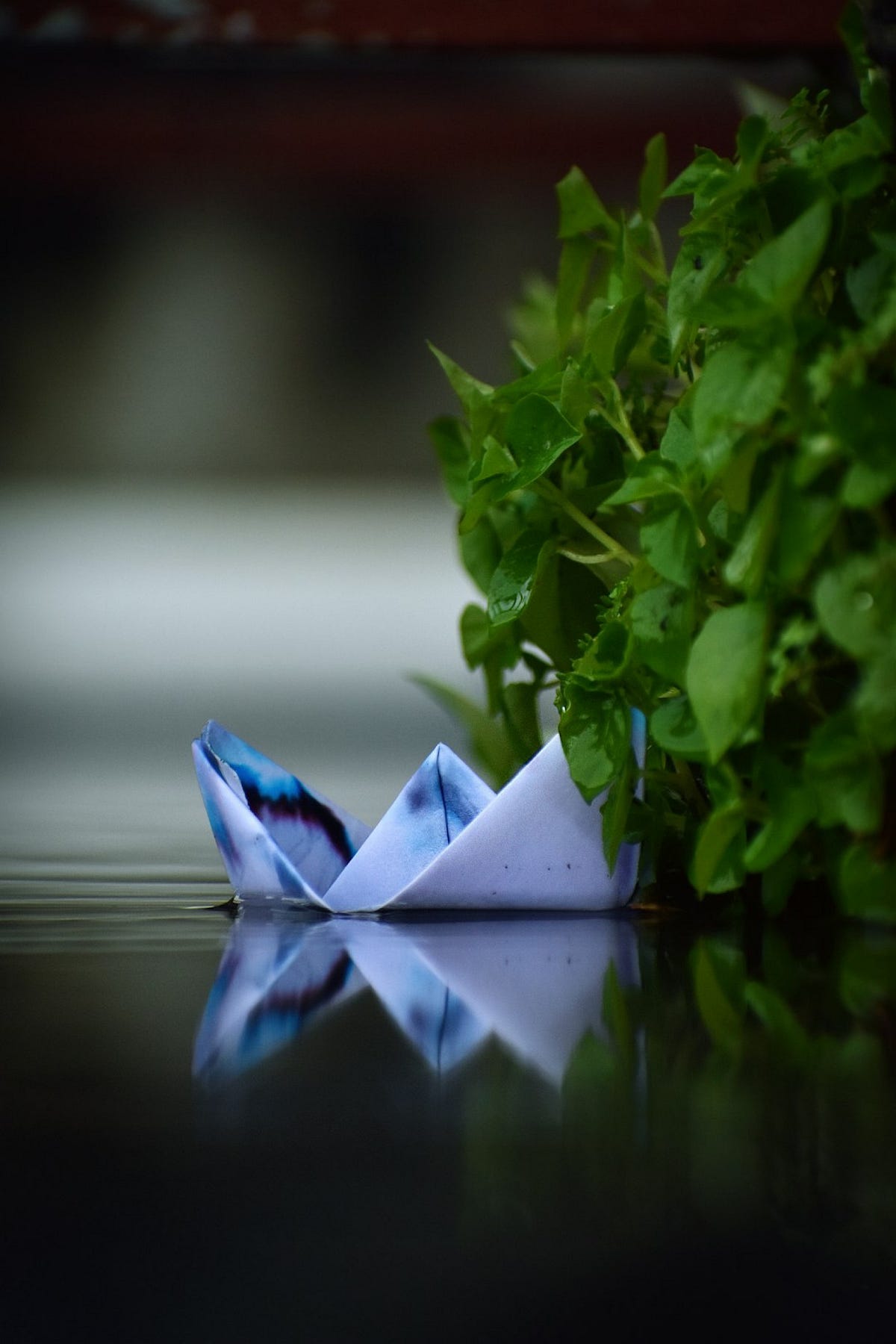 Paper Boating. The Scribbled Study of Keeping Afloat | by Annaclastic ...