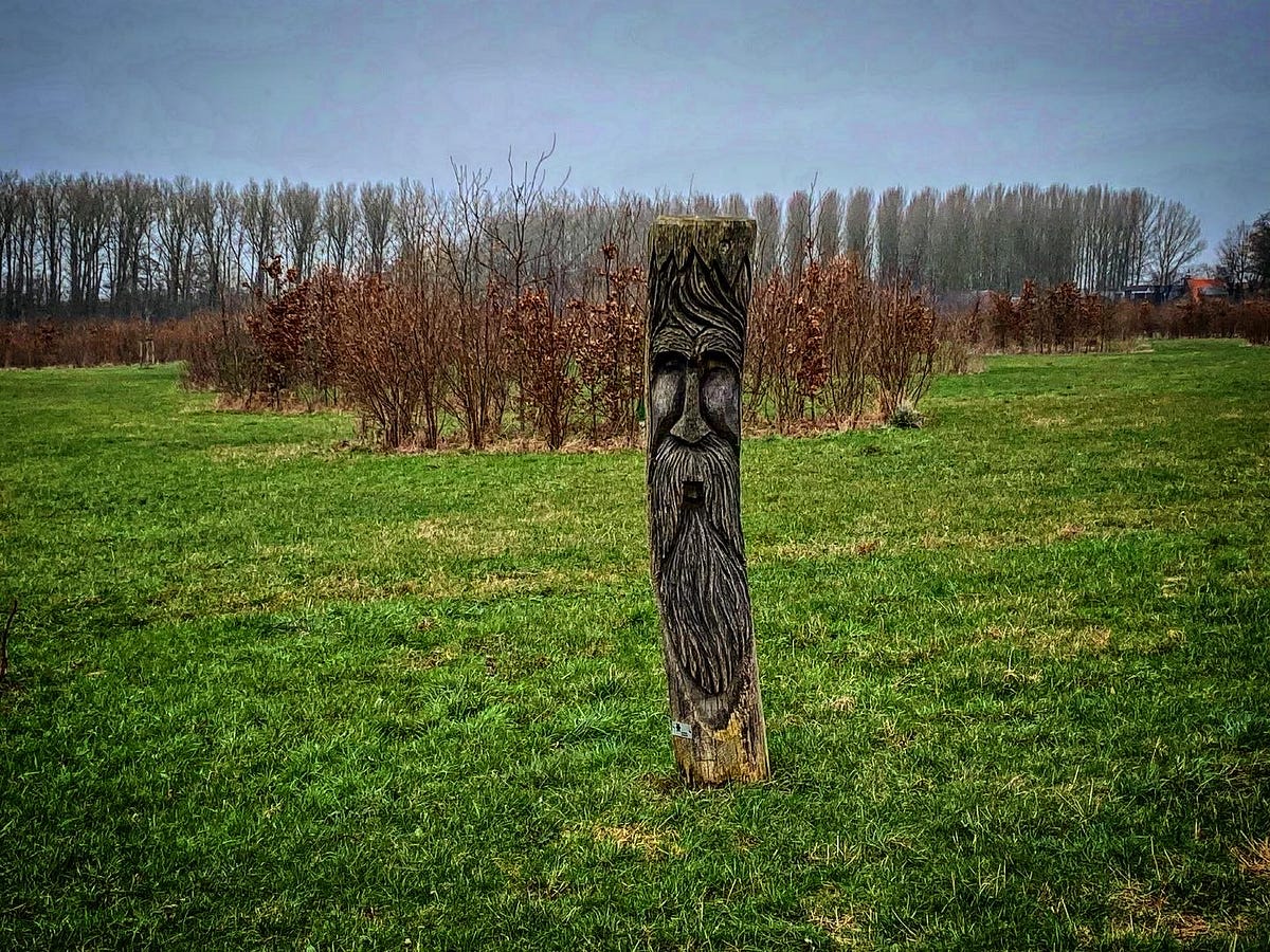 Goede voornemens-tocht. Sinds enkele maanden ben ik weer aan… | by