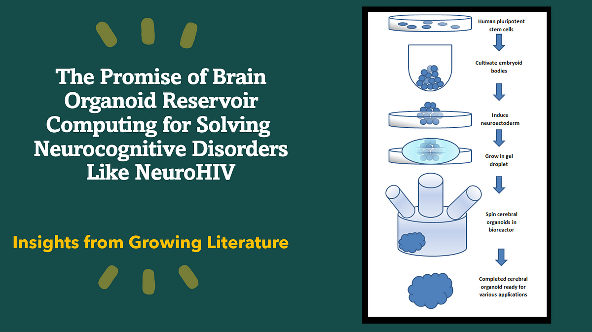 Neurocomputing: Brain Organoid Reservoir Computing Brings Hope to Solving NeuroHIV & Cognitive…