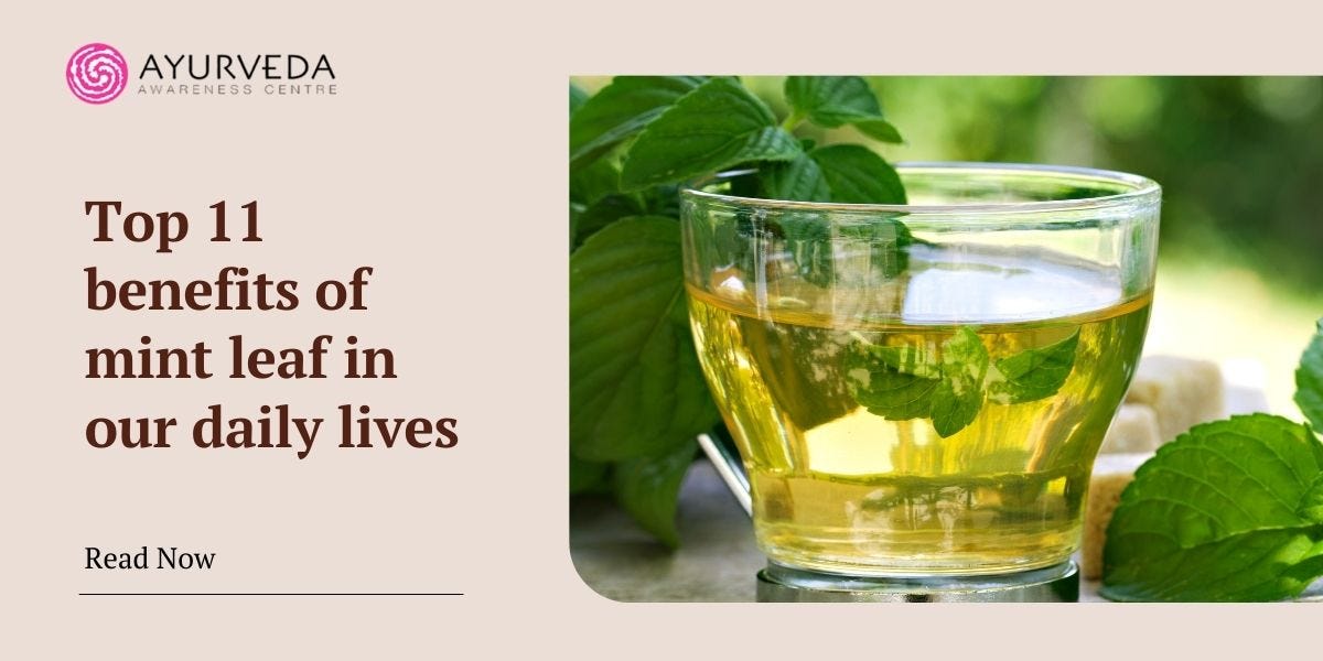 Top 11 Benefits of Mint Leaf in our Daily Lives by Ayurveda Awareness