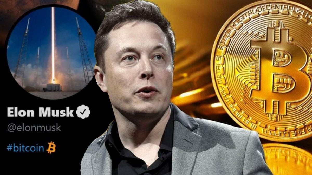 The Musk Effect: How Elon Musk’s Influence Impacts the Digital Currency