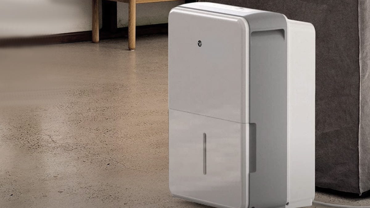 Dehumidifiers For Basements. When you find a damp basement in your